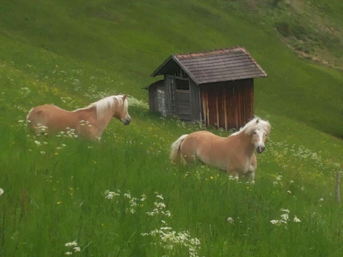 Apart.Pitztal อาร์เซิล อิม พิทซ์ทาล ภายนอก รูปภาพ