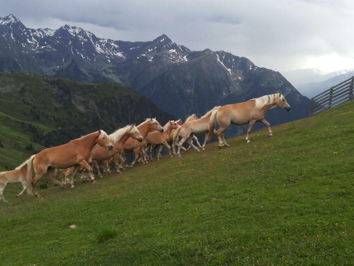Apart.Pitztal อาร์เซิล อิม พิทซ์ทาล ภายนอก รูปภาพ