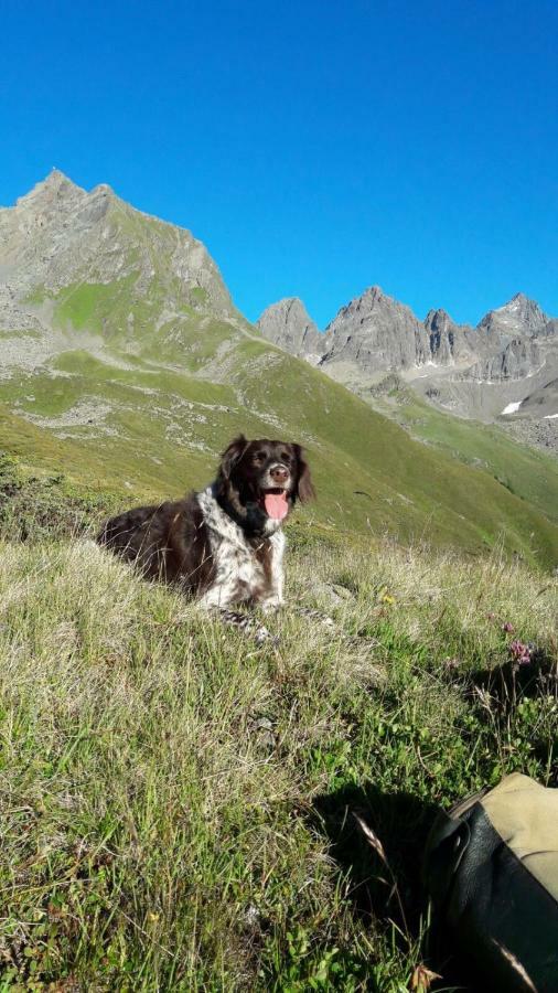 Apart.Pitztal อาร์เซิล อิม พิทซ์ทาล ภายนอก รูปภาพ